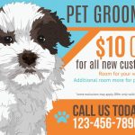 6 Winning Direct Mail Campaigns